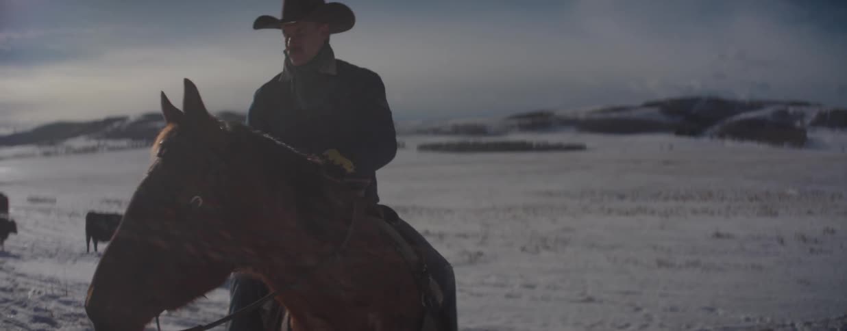 A cowboy sits atop his horse in a vast, snowy field, watching over cattle on a cold morning