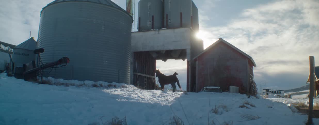 A silhouetted cowboy leads a horse away from a snowy farm with silos and a red barn at sunrise