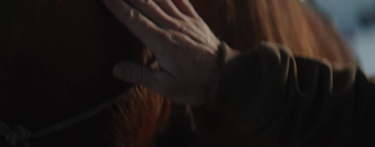 A close-up cinematic shot of a person's hand resting gently on a brown horse's face in a dimly lit stable