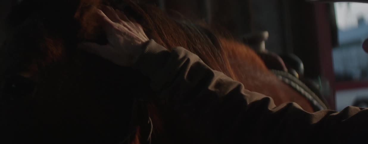 An intimate close-up shows a person's hand gently petting a calm horse in a dark stable