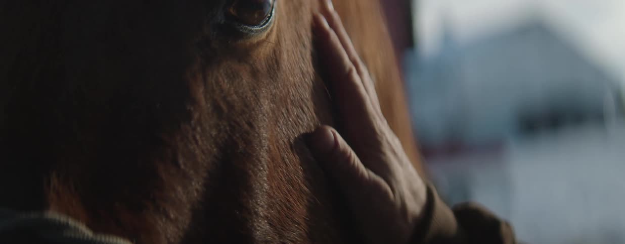 A close-up shot of a gentle hand stroking the face of a brown horse, resting near its eye in a stable