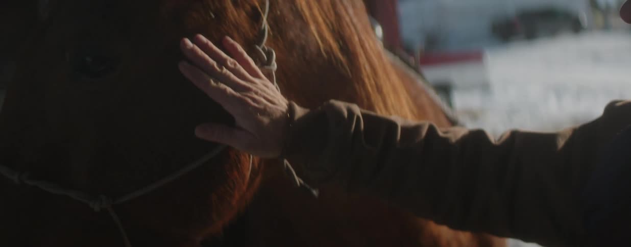 A cowboy wearing a hat shares a gentle moment, petting his horse's face in the soft light of a snowy morning