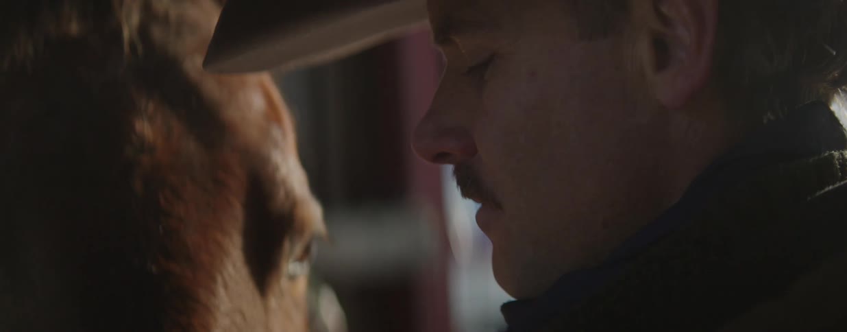 Close up of a cowboy sharing a quiet, tender moment with his horse inside a dimly lit barn