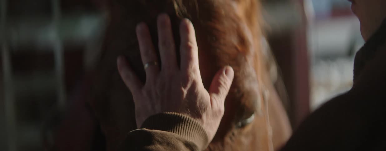 A man's gentle hand rests on his horse's head in a quiet, tender moment filmed in slow motion