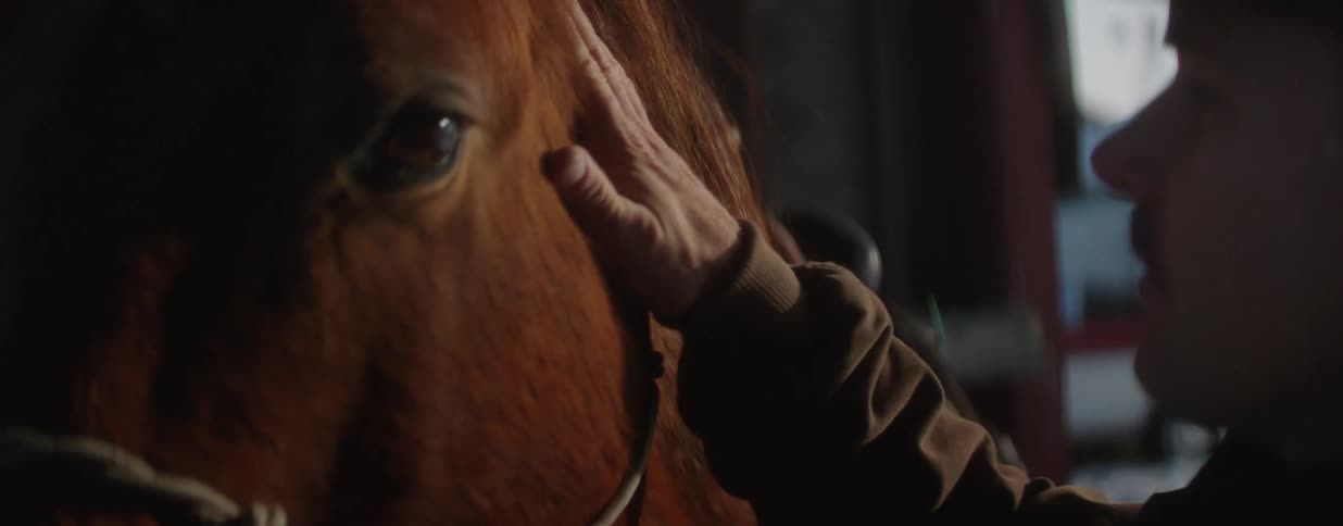 Slow-motion close-up of a cowboy's hand affectionately stroking his brown horse in a warm, dimly lit stable
