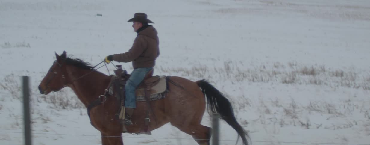 Slow motion side-view of a cowboy riding his horse at a gallop through a snow-covered field in winter