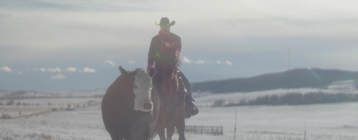 A cowboy on horseback rides through a snowy field next to a cow in slow motion on a bright winter day