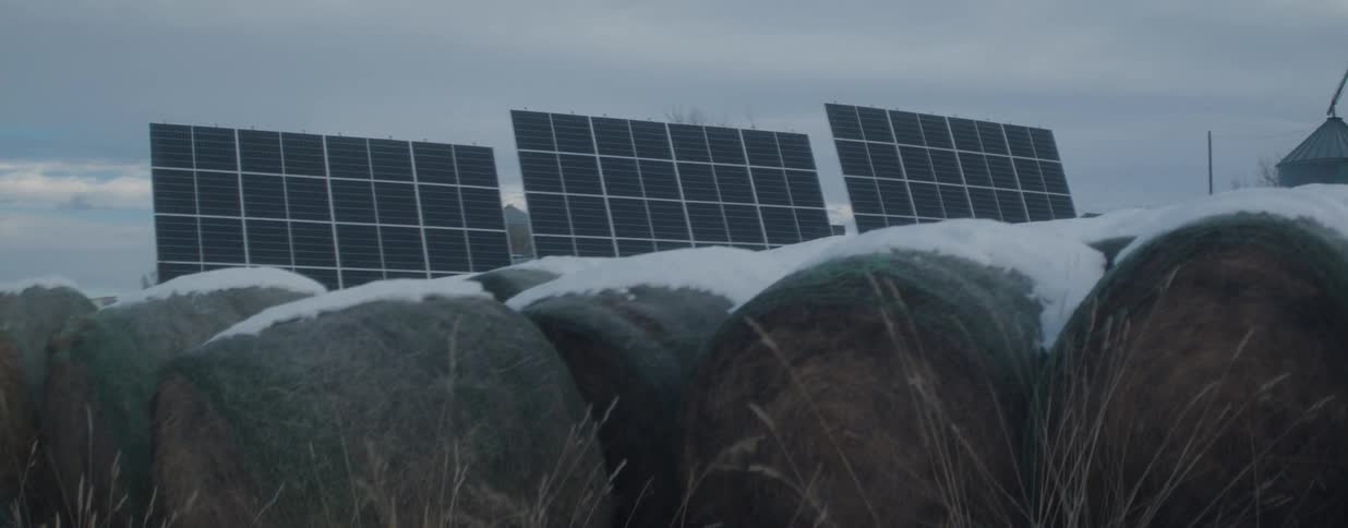 Solar panels stand behind snow-covered hay bales on a rural farm during a cold winter day
