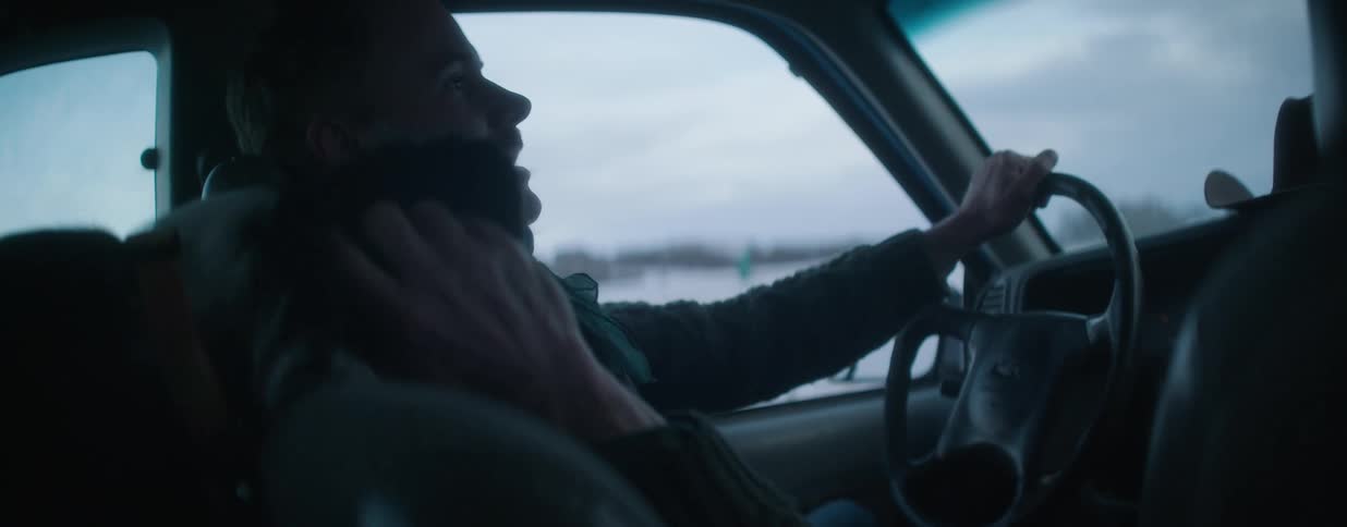 A man talks on the phone while driving his truck and petting his dog on an overcast day