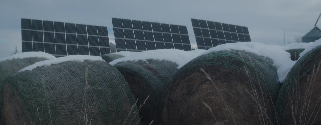Snow-covered hay bales sit in a field in front of solar panels on a cold winter day