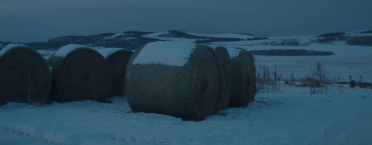 Snow-covered round hay bales sit in a frozen field at dusk with rolling hills in the background