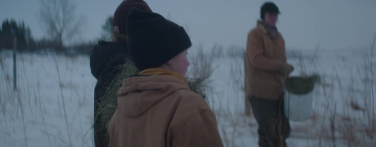 A young boy with rosy cheeks helps with farm chores, carrying hay through a snowy pasture with his family