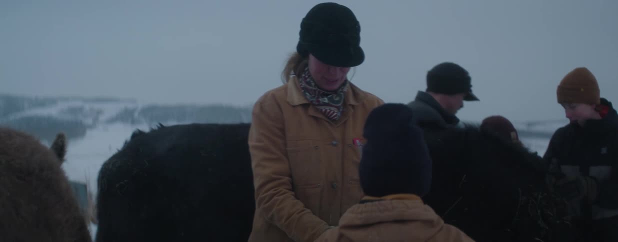 A rancher family laughs and works together while feeding hay to their cattle on a snowy winter day