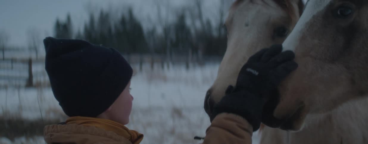 Close-up of a tender moment between a young boy and a horse as he gently pets its face in the snow