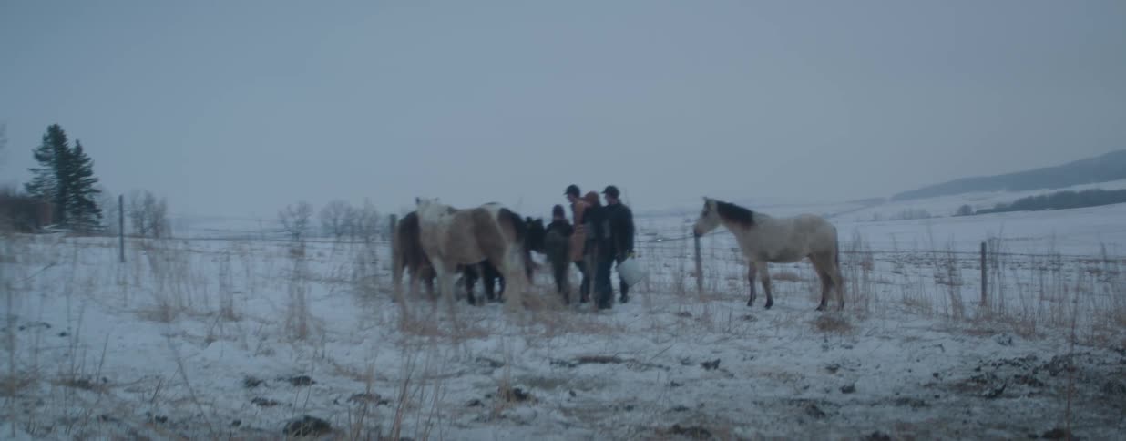 Ranchers gather with their horses and cattle on a cold, snowy day in a vast, open field