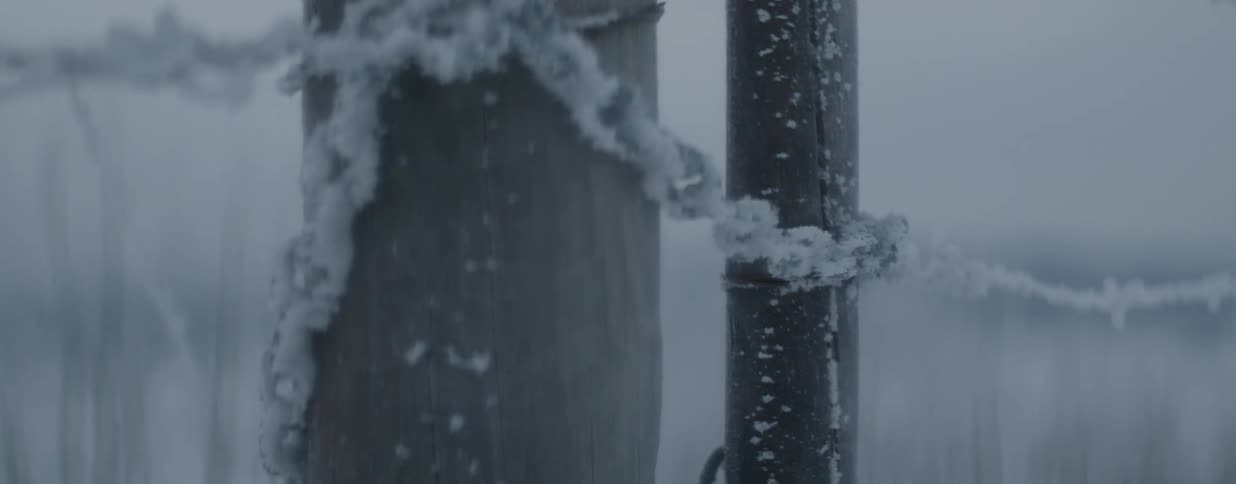 A close-up shot of a frosted wooden fence post and icy barbed wire on a cold, snowy winter day