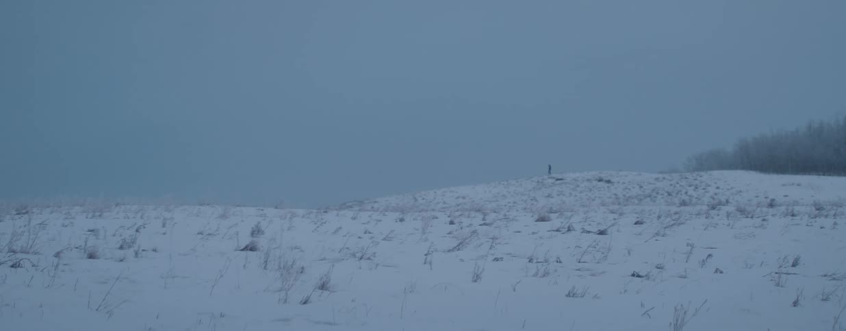 A lone figure walks across a desolate, snow-covered hill during a winter blizzard