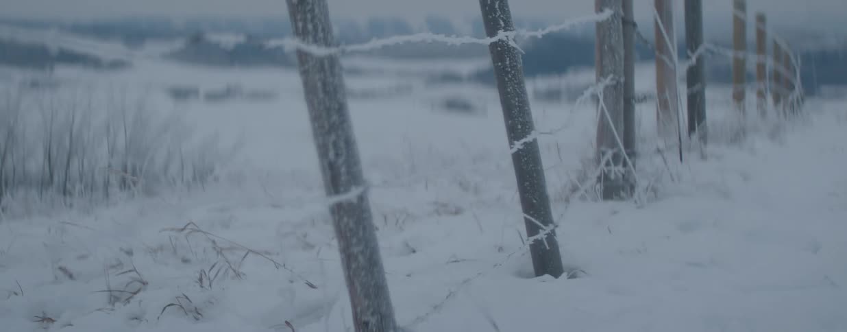 A frost-covered barbed wire fence stands in a still, snowy landscape on a cold winter day