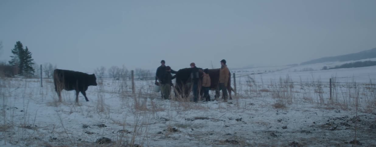 A family of farmers gathers around a cow in a snow-covered pasture on a cold and overcast winter day