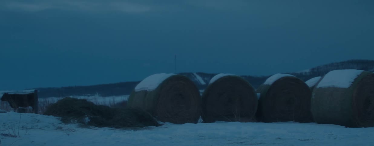 Snow-capped hay bales sit silently in a frozen field under a deep blue twilight sky