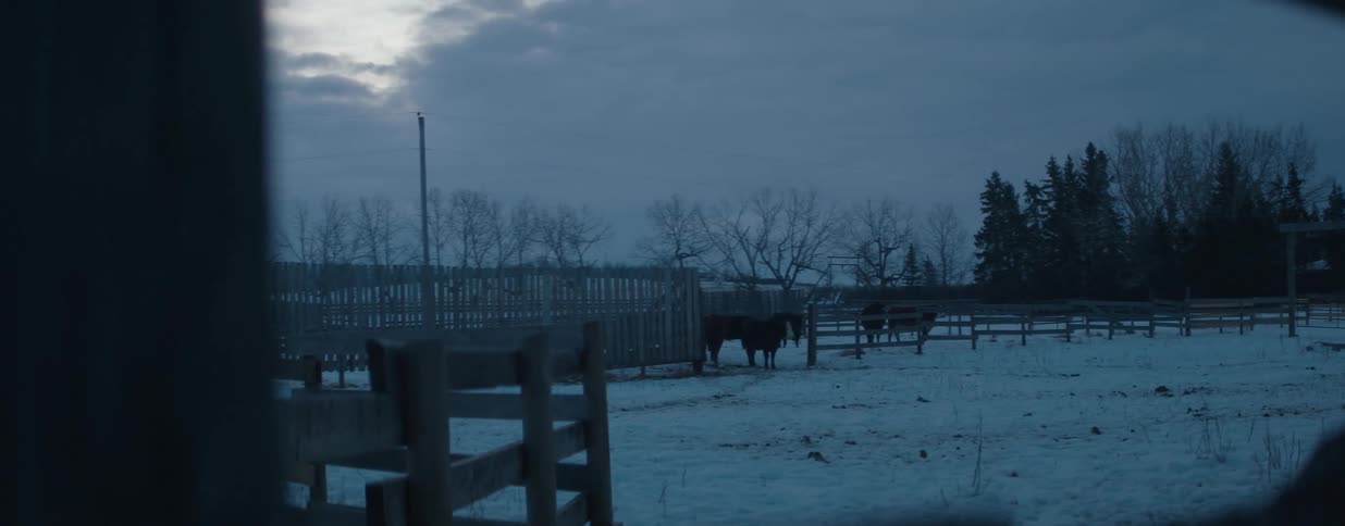 A slow pan reveals horses standing in a snowy farm paddock on a cold and overcast winter day