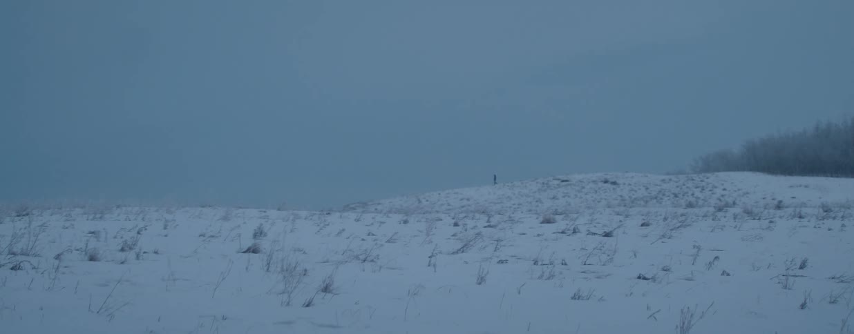A lone figure walks across a bleak, snow-covered landscape on a cold, overcast winter day
