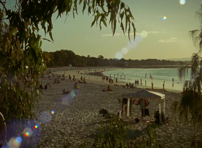 A sun-drenched, vintage-style wide shot of a crowded beach during a hazy golden hour, framed by tree leaves