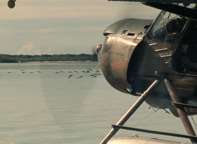 A vintage seaplane starts its engine on the water as a flock of birds flies in the background