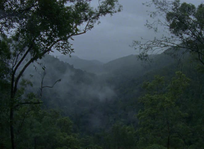 A moody, atmospheric shot of a dense rainforest valley shrouded in mist and fog on a dark, rainy day