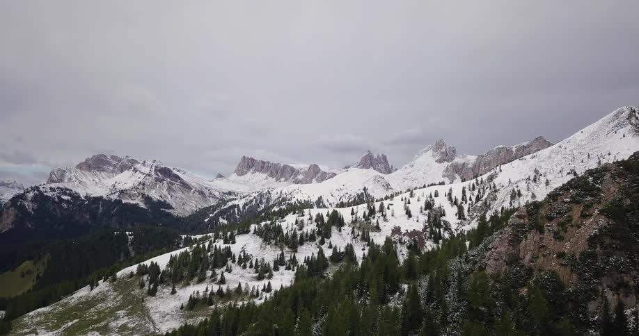The mountains have tall trees all over
