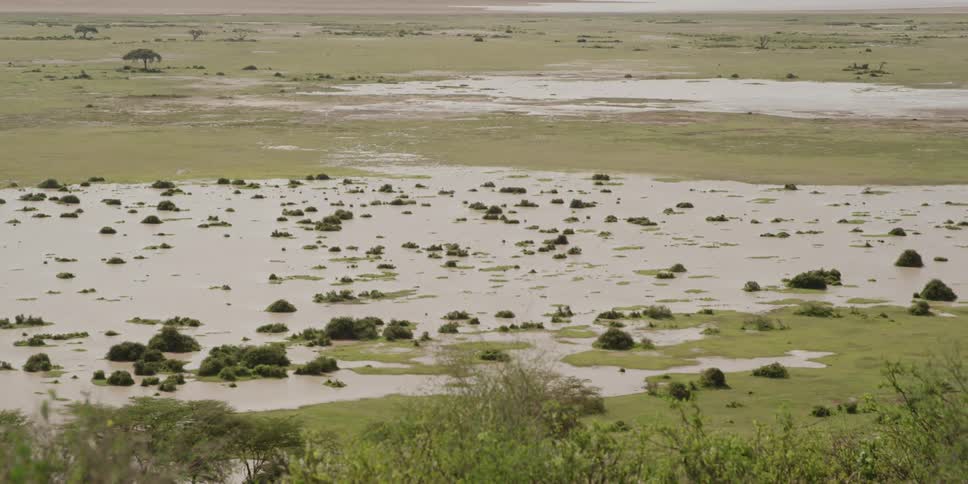 A shallow body of water on a african savannah