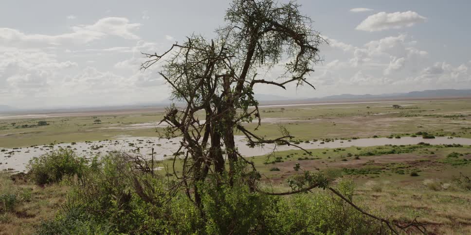 View of swampland on a cloudy day