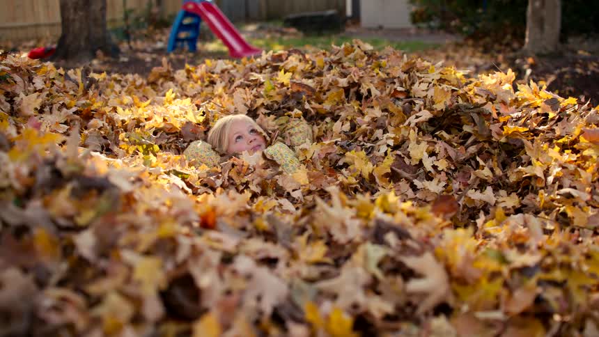 A young girl smiles happily as she lies buried in a giant pile of colorful autumn leaves in her backyard