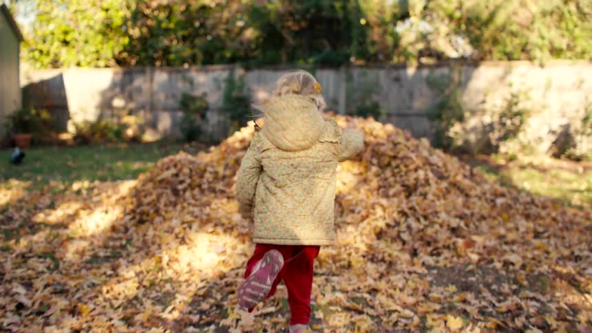 A young girl joyfully runs in slow motion and jumps headfirst into a giant pile of golden autumn leaves in her backyard