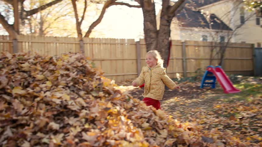 A delighted young girl runs in slow motion and gleefully jumps into a massive pile of autumn leaves in her backyard