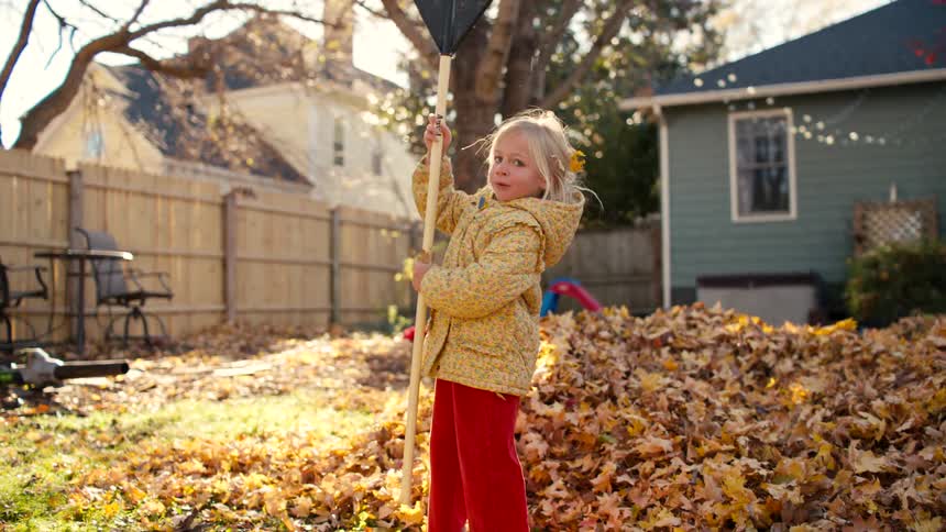A cute little girl in a warm coat plays with a big rake, tossing golden autumn leaves into the air in a sunlit backyard