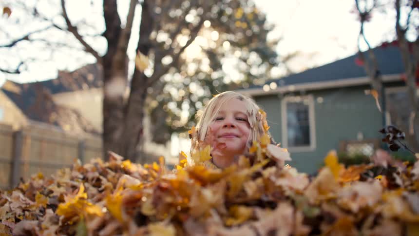 A cute little girl sits in a large pile of autumn leaves and joyfully throws them up into the air in super slow motion