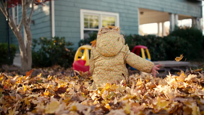 Slow motion shot of a happy little girl in a warm coat disappearing into a big pile of golden autumn leaves