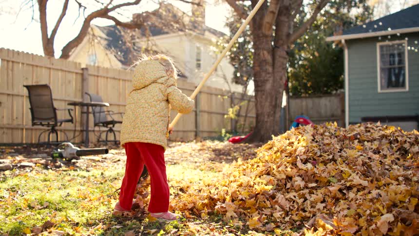 Slow motion shot of a cute little girl in a warm coat raking a large pile of fallen leaves in a sunny backyard