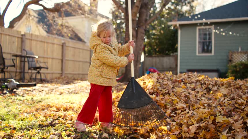 Adorable little girl with blonde hair enthusiastically rakes a large pile of fallen leaves in her backyard during a beautiful autumn day