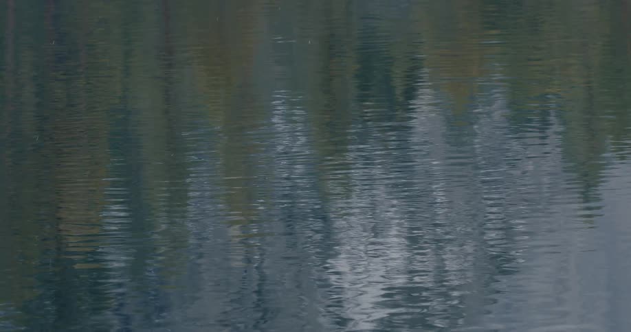 Gentle rain falls on a calm lake, creating abstract ripples and distorting the reflection of a dense forest