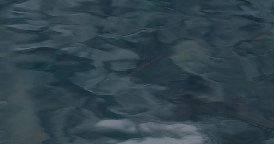 The serene surface of dark, calm water gently ripples, creating a mesmerizing abstract background