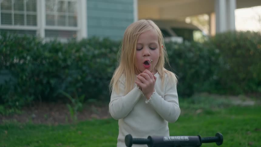 An adorable little girl blows on a dandelion, making a wish, and smiles happily in her yard