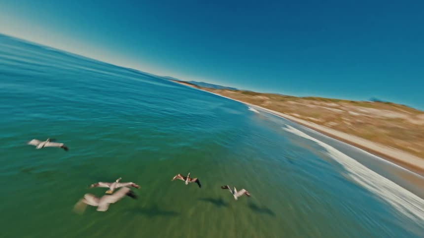 Dynamic FPV drone footage chases a flock of seagulls as they soar just above the sparkling ocean surface along a scenic beach