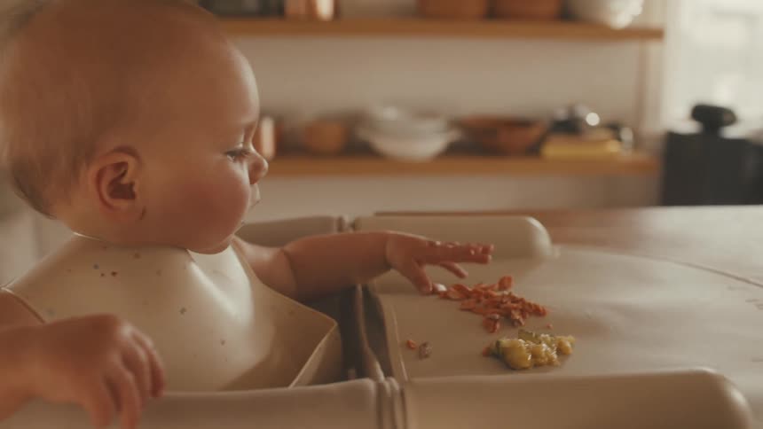 An adorable baby with a bib sits in a high chair, curiously touching and eating solid food as their parent prepares a meal in the background