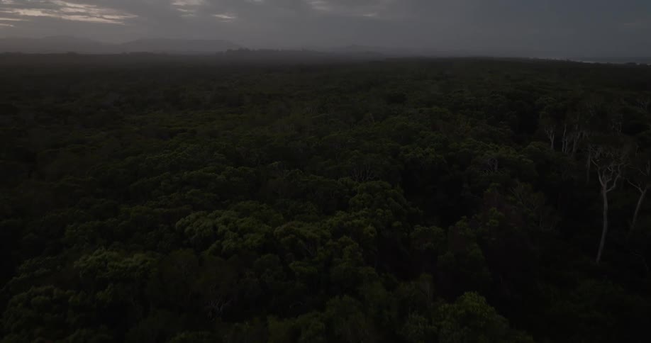A moody aerial shot slowly pulls back over a vast, dark forest at dusk, revealing a cloudy sky and distant mountains