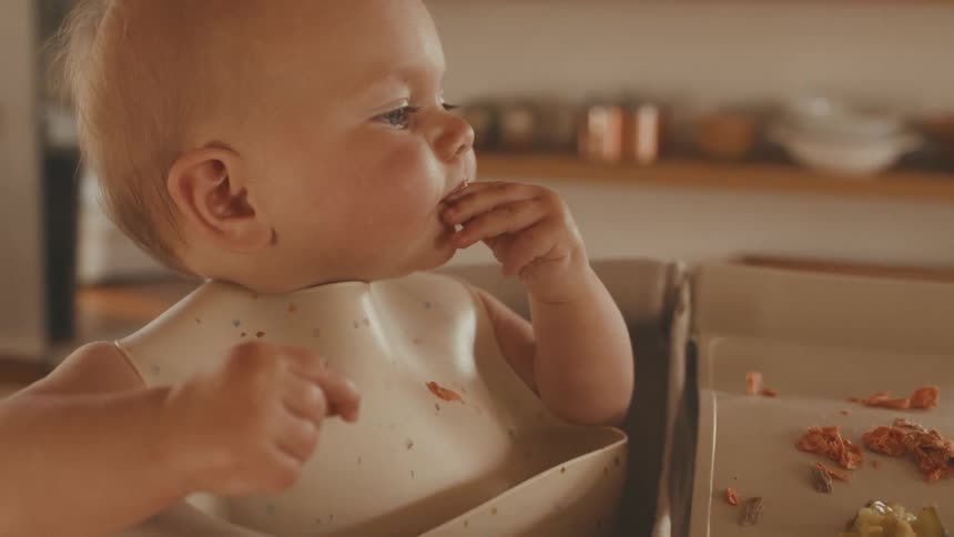 An adorable baby in a bib learns to feed herself solid food in her high chair at home