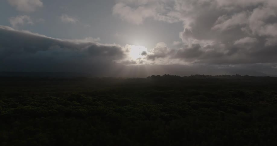 Sun rays shine down on a lush green forest through a dramatic break in the dark clouds