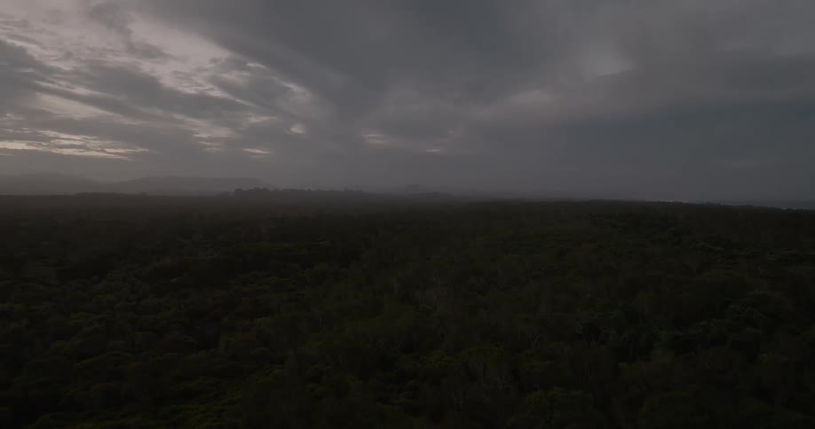 A slow aerial pullback reveals an endless dark forest under a moody and ominous cloudy sky at twilight
