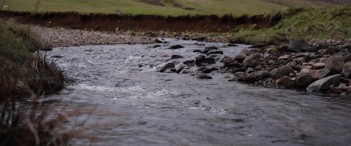 A tranquil, shallow creek babbles over smooth stones as it flows through a green countryside